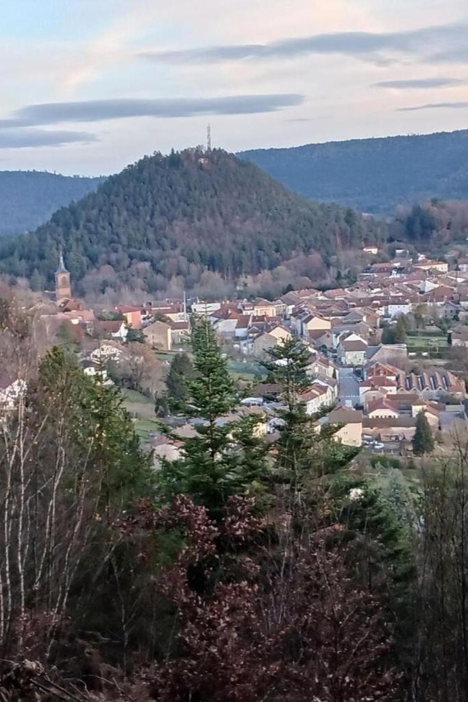 Charmant Gite, Au Calme, Avec Vue Imprenable Sur La Nature Environnante Deycimont Extérieur photo