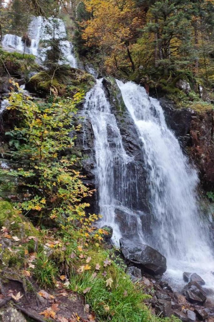 Charmant Gite, Au Calme, Avec Vue Imprenable Sur La Nature Environnante Deycimont Extérieur photo